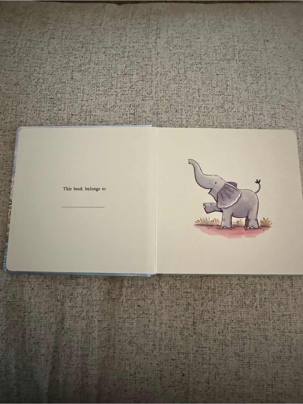 Jellycat โAn Elephant Knows Bestโ Board Book - Picture 4 of 4